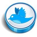 Twitter Icon